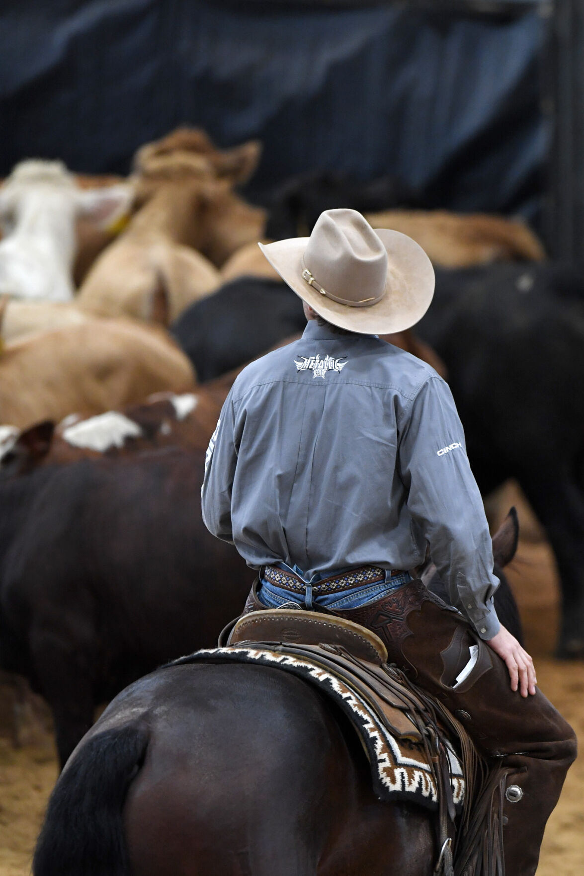 Michelle Lynn Holsey Foundation NCHA Cutting & Benefit